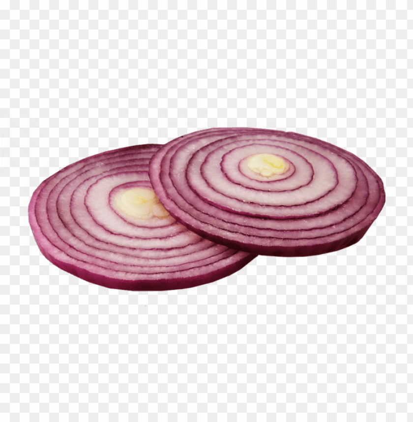 Detail Onion Slice Png Nomer 5