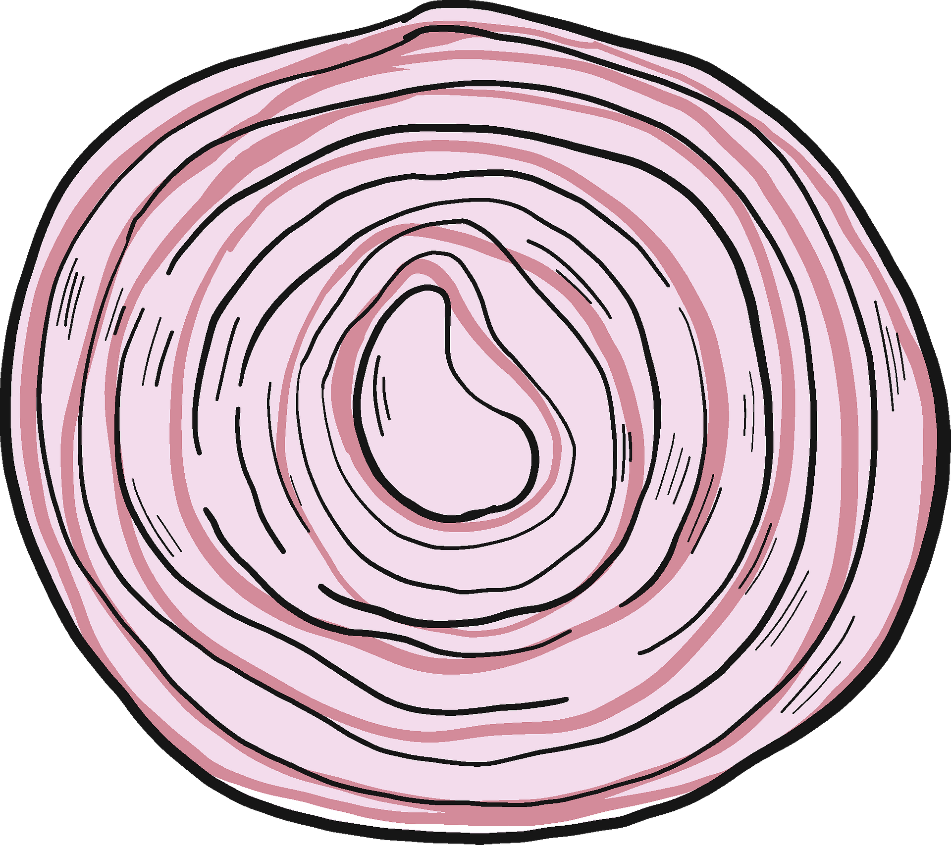 Detail Onion Slice Png Nomer 53