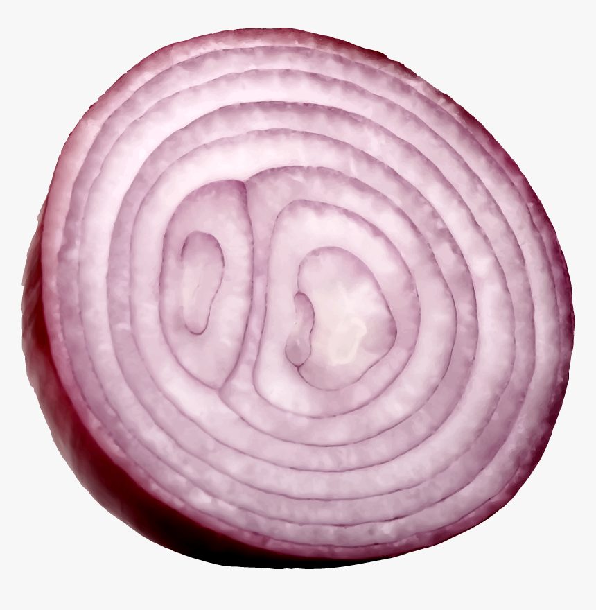 Detail Onion Slice Png Nomer 9