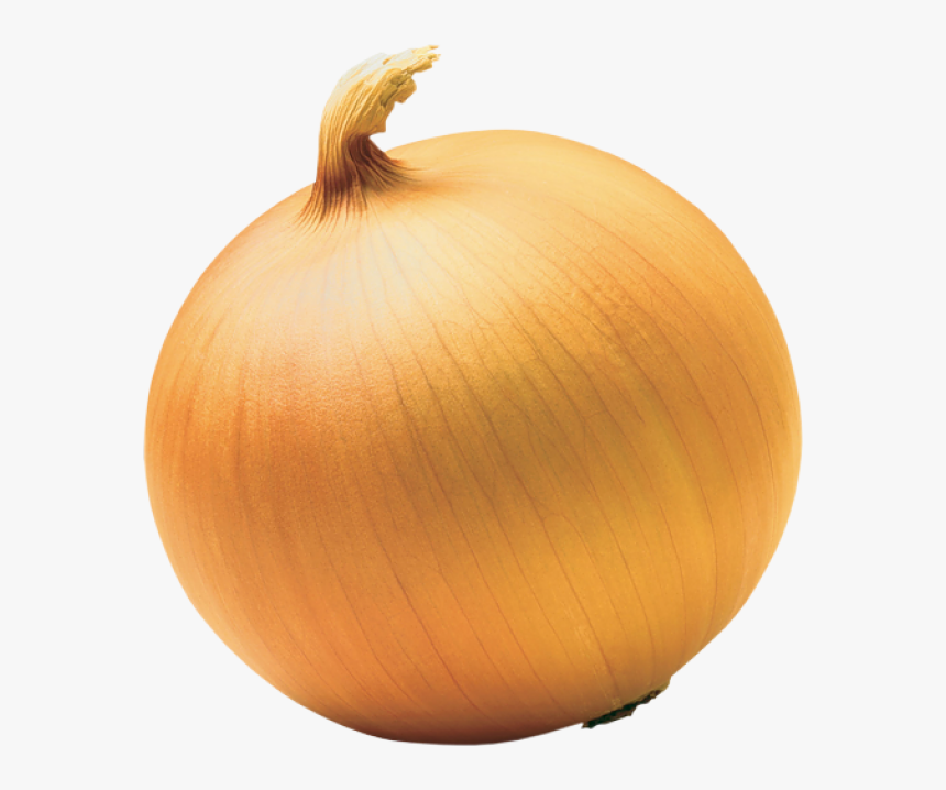 Onion Transparent - KibrisPDR