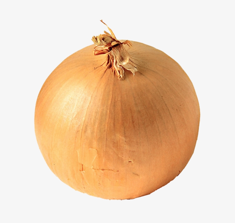 Detail Onion Transparent Nomer 3