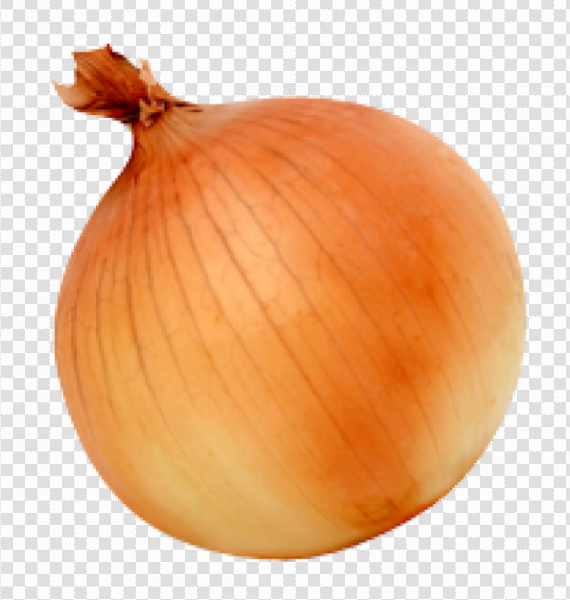 Detail Onion Transparent Nomer 6