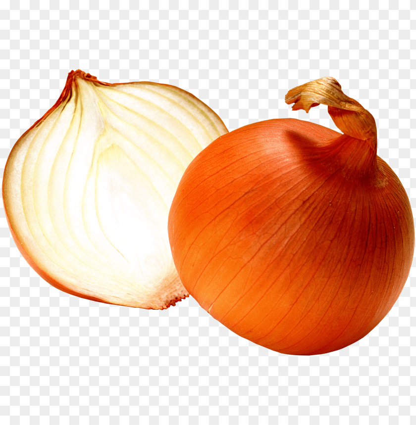 Detail Onion Transparent Background Nomer 10