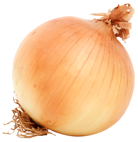 Detail Onion Transparent Background Nomer 2