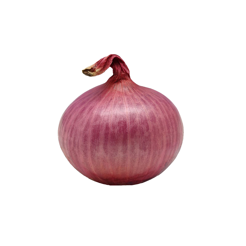 Detail Onion Transparent Background Nomer 21