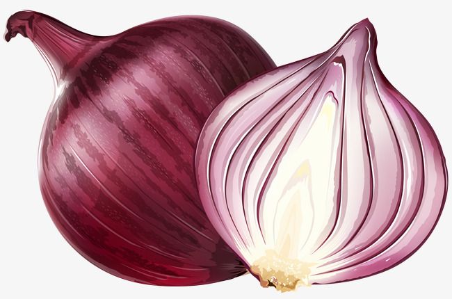 Detail Onion Transparent Background Nomer 22