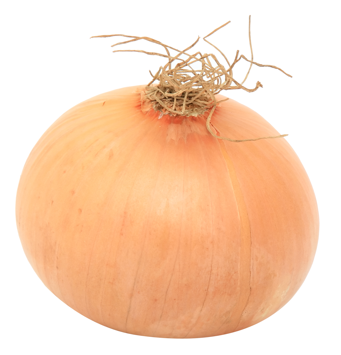 Detail Onion Transparent Background Nomer 25