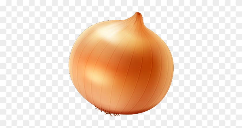 Detail Onion Transparent Background Nomer 26