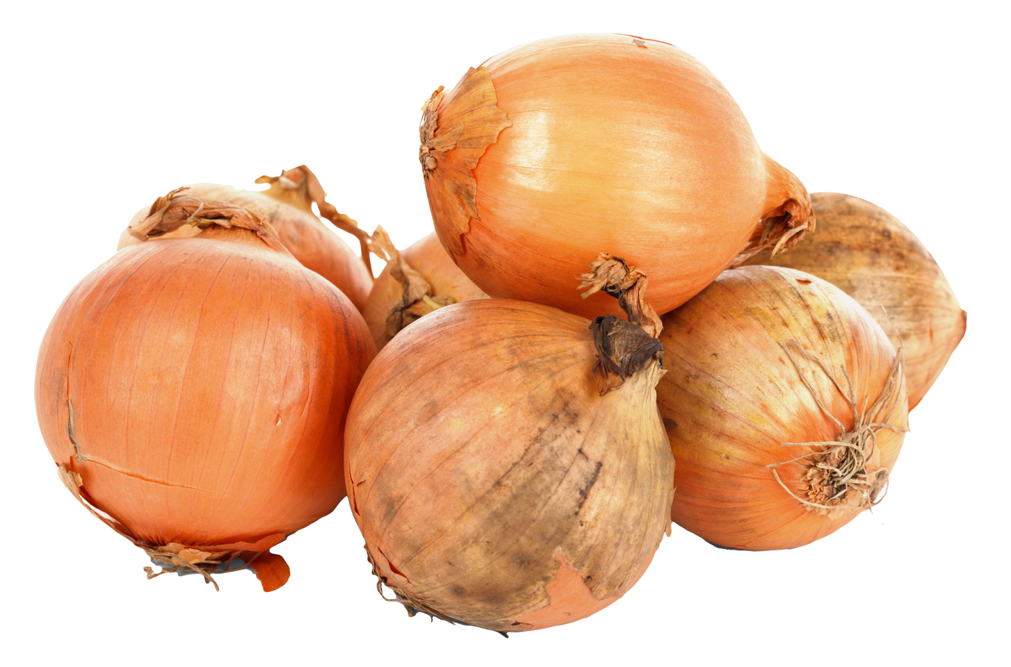 Detail Onion Transparent Background Nomer 27