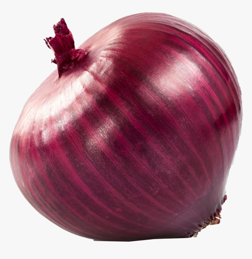 Detail Onion Transparent Background Nomer 3