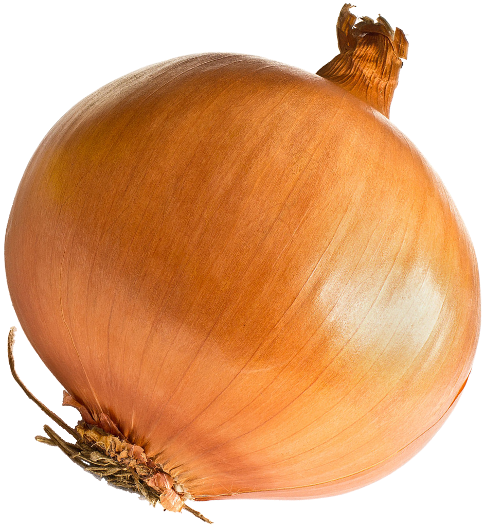 Detail Onion Transparent Background Nomer 35