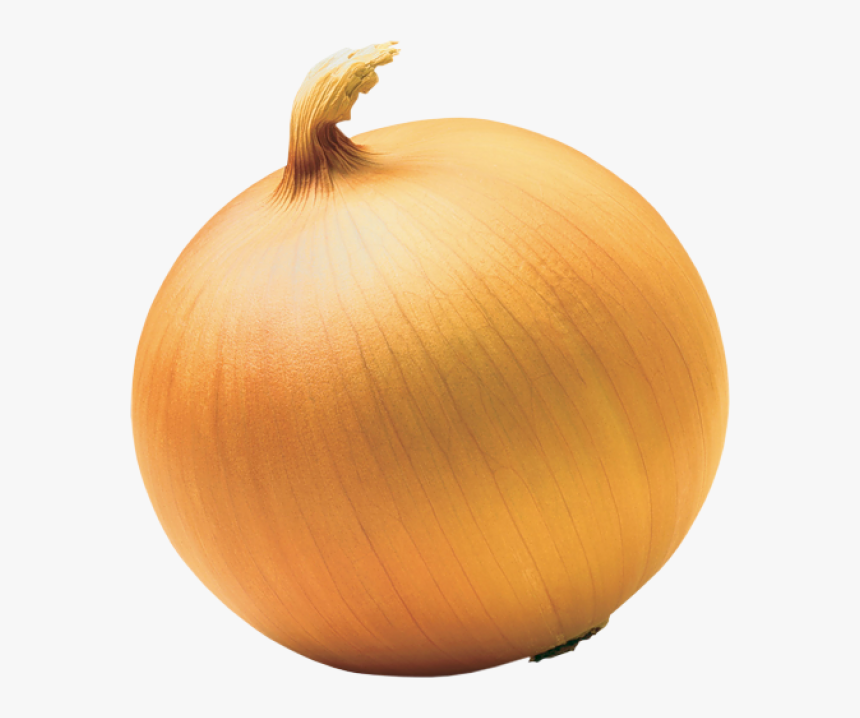 Detail Onion Transparent Background Nomer 4