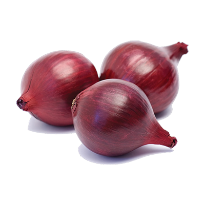 Detail Onion Transparent Background Nomer 44