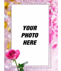 Detail Online Picture Frames Free Download Nomer 34