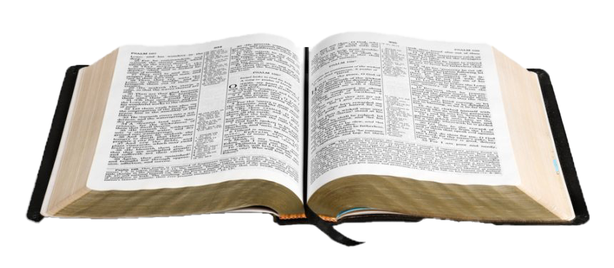 Detail Open Bible Nomer 43