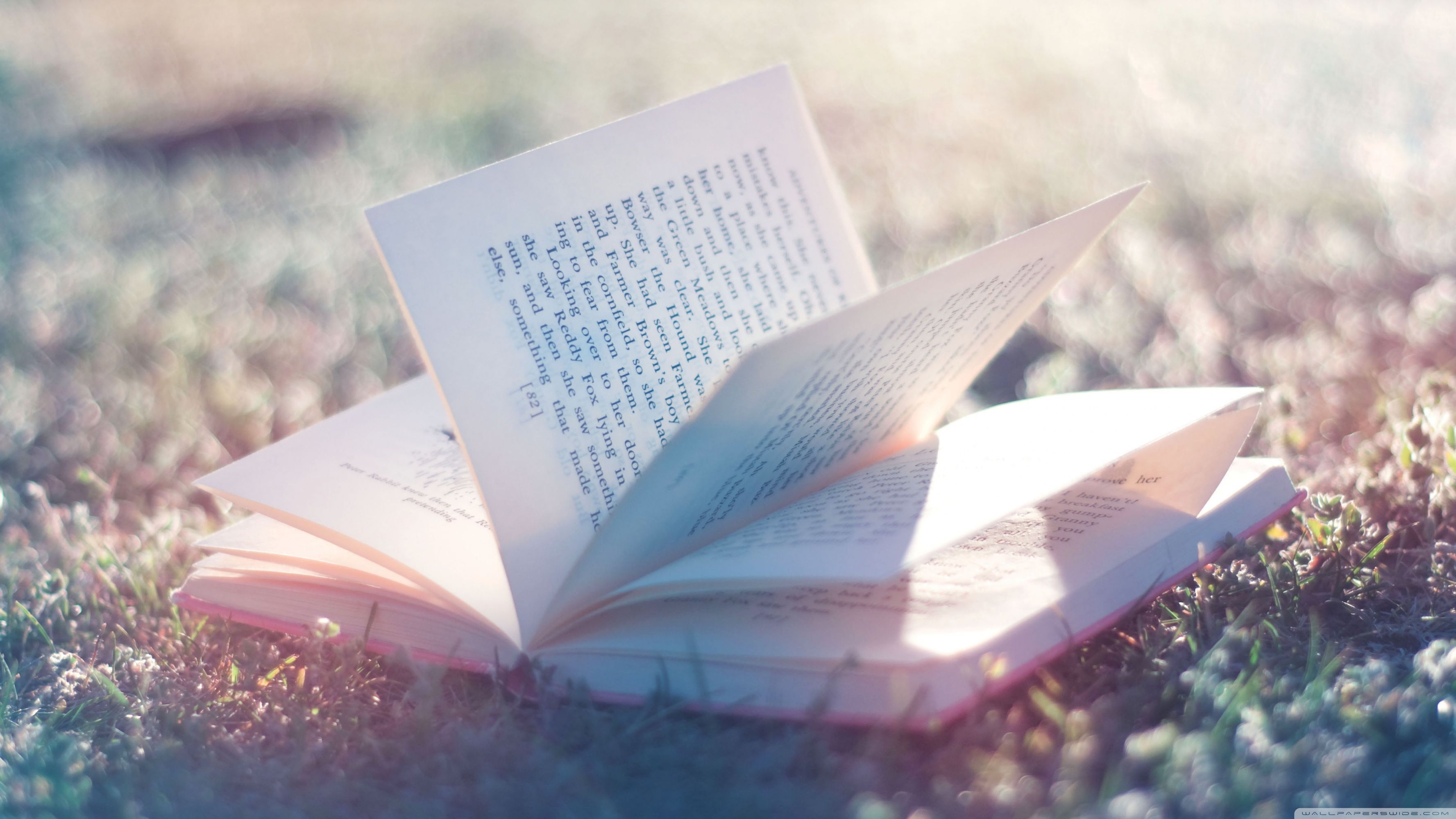 Detail Open Book Wallpaper Nomer 2