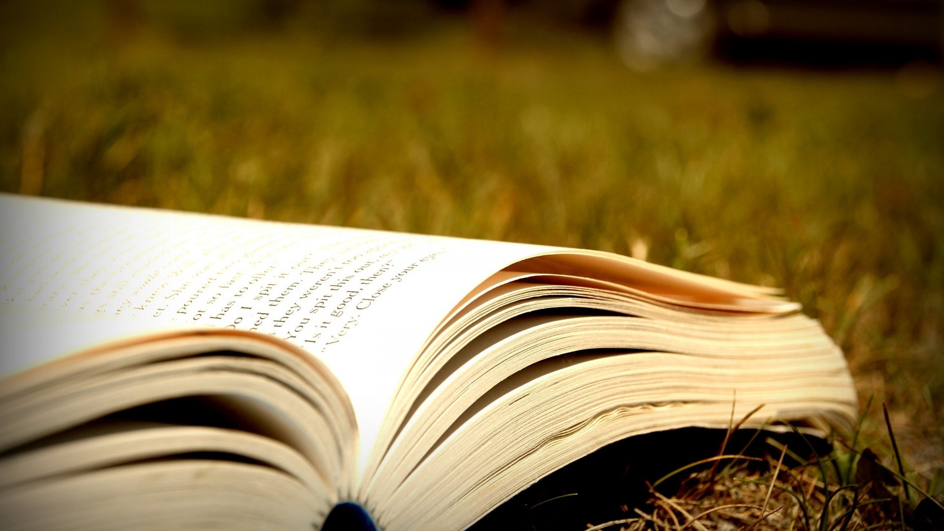 Detail Open Book Wallpaper Nomer 26