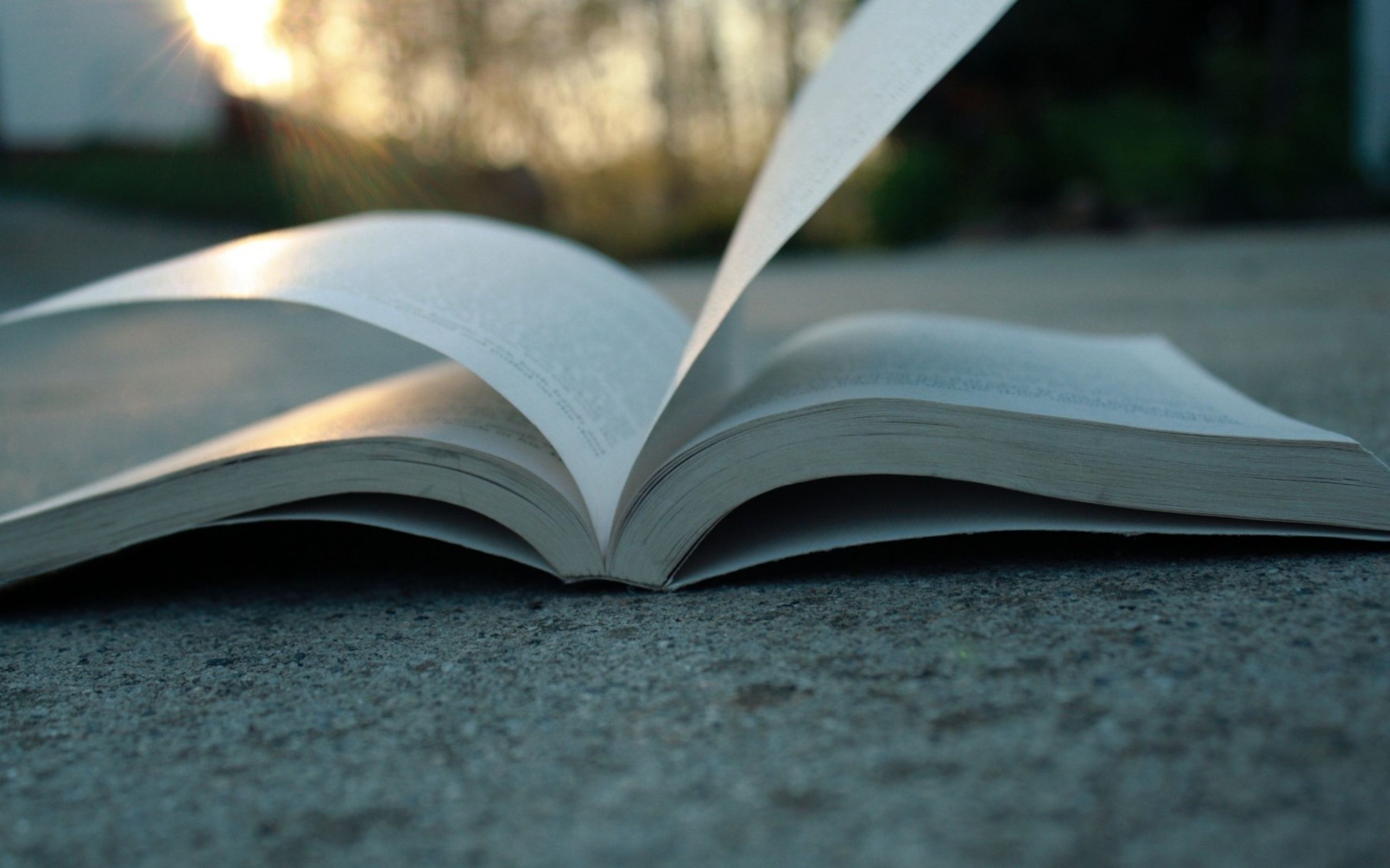 Detail Open Book Wallpaper Nomer 33