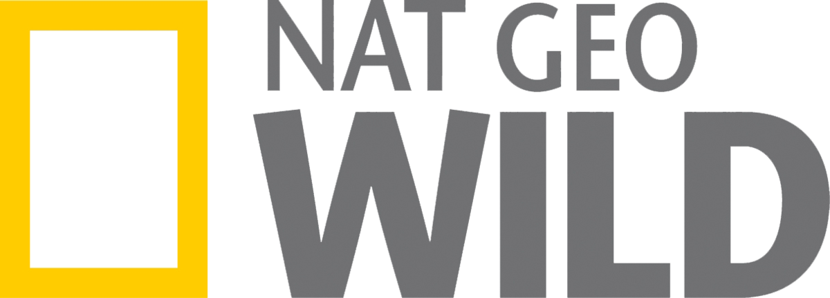 Detail Logo Nat Geo Wild Nomer 2