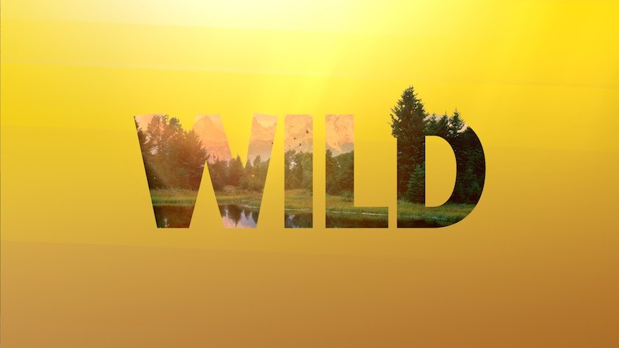 Detail Logo Nat Geo Wild Nomer 13