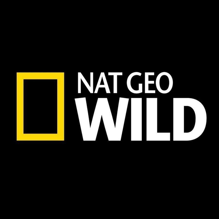 Detail Logo Nat Geo Wild Nomer 4