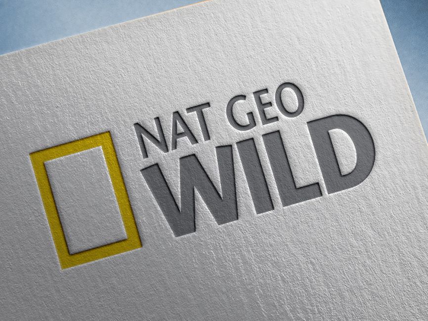 Detail Logo Nat Geo Wild Nomer 41