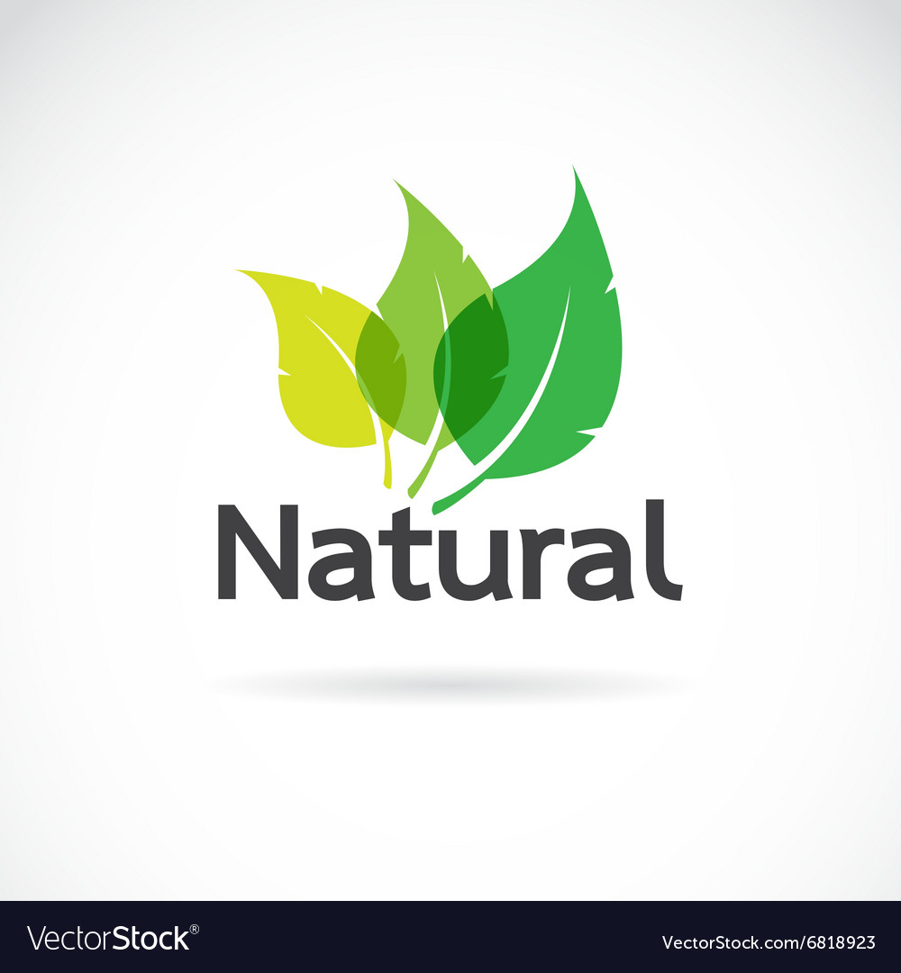 Detail Logo Natur Nomer 4