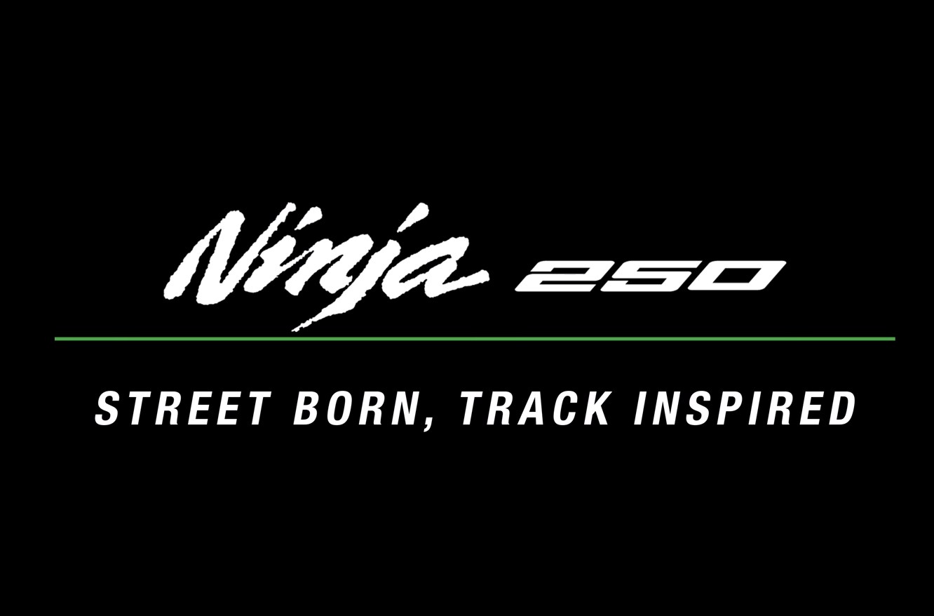 Detail Logo Ninja 250 Nomer 10