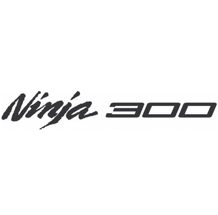 Detail Logo Ninja 250 Nomer 14