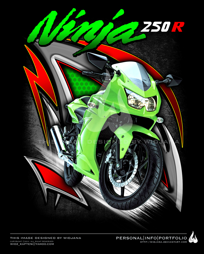 Detail Logo Ninja 250 Nomer 4