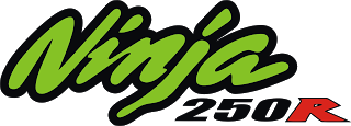 Detail Logo Ninja 250 Nomer 5