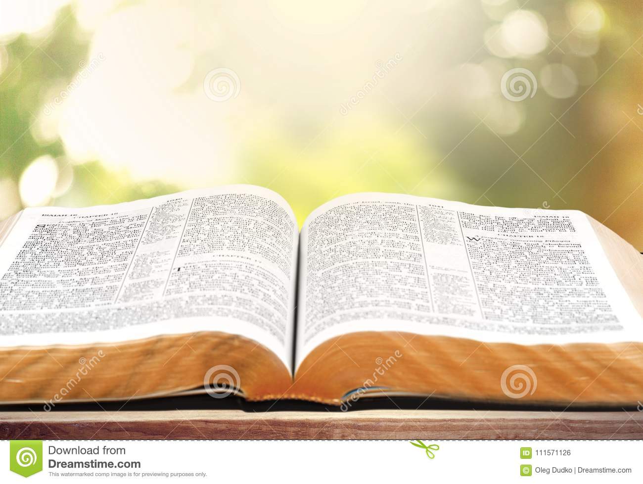 Open Holy Bible - KibrisPDR