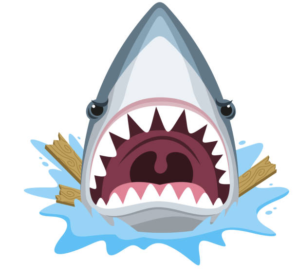 Detail Open Shark Mouth Clipart Nomer 14