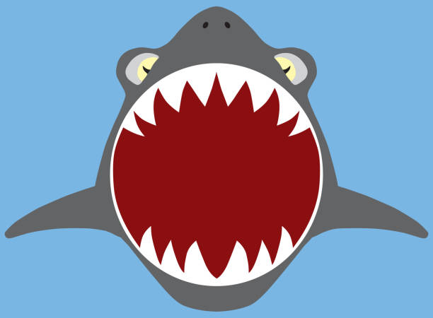 Detail Open Shark Mouth Clipart Nomer 16