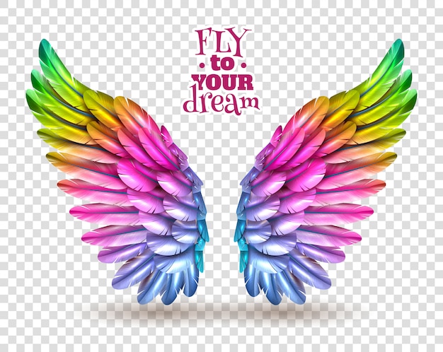 Detail Open Source Png Images Nomer 35