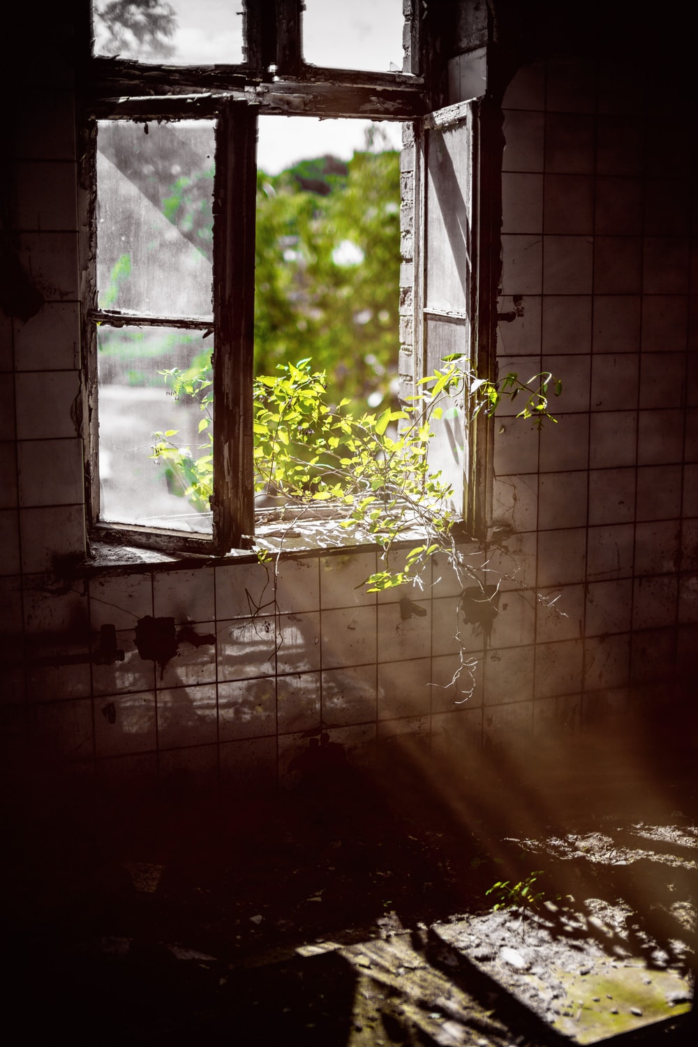 Detail Open Window Image Nomer 41