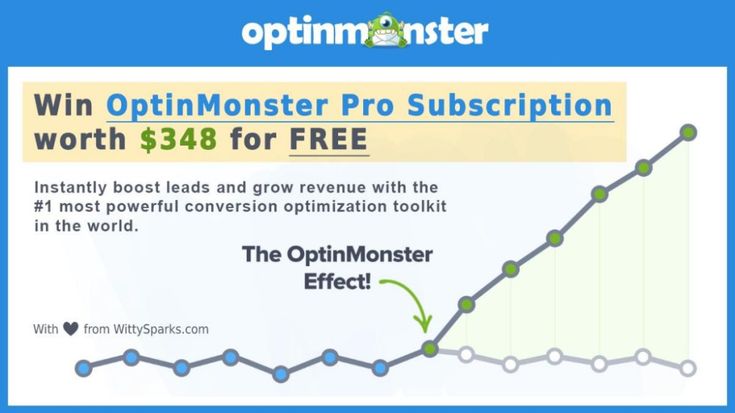 Detail Optinmonster Email Marketing Nomer 41