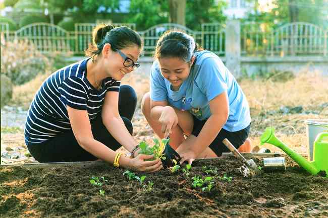 Detail Orang Menyiram Tanaman Nomer 30