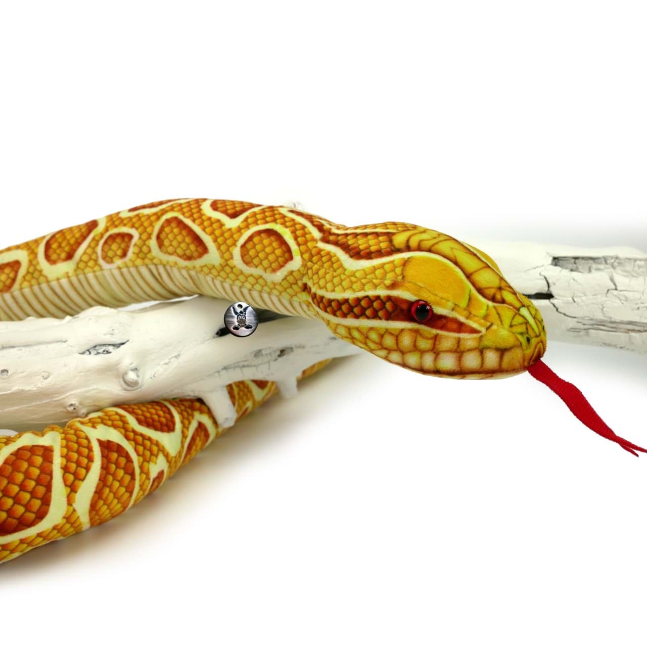 Detail Albino Python Schlange Nomer 3