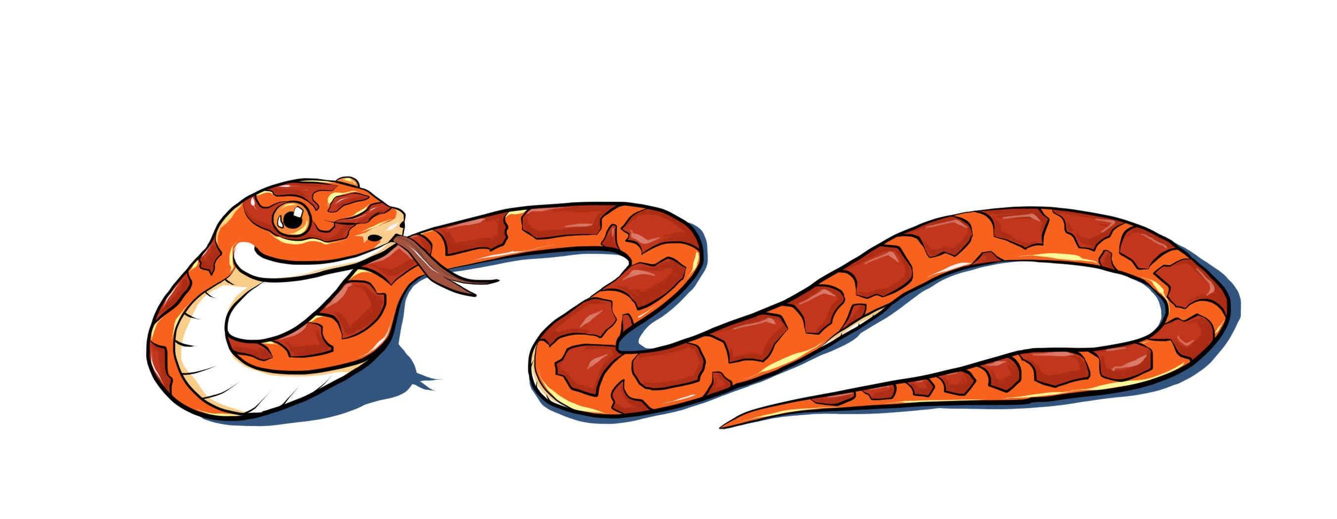 Corn Snake Tongue - KibrisPDR