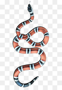 Detail Corn Snake Tongue Nomer 11