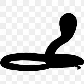 Detail Corn Snake Tongue Nomer 20