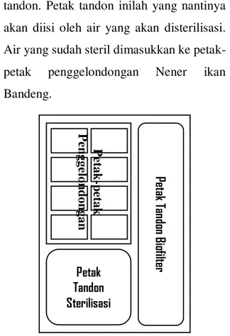 Detail Desain Tambak Ikan Nomer 31