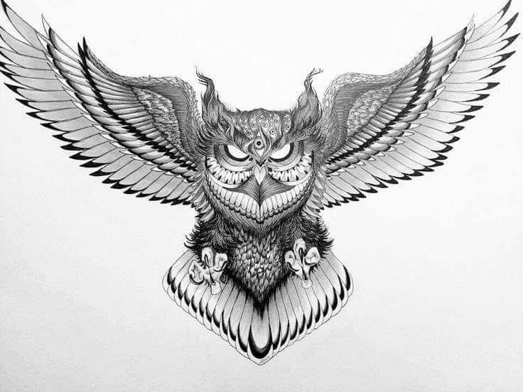 Detail Desain Tato Burung Hantu Nomer 26