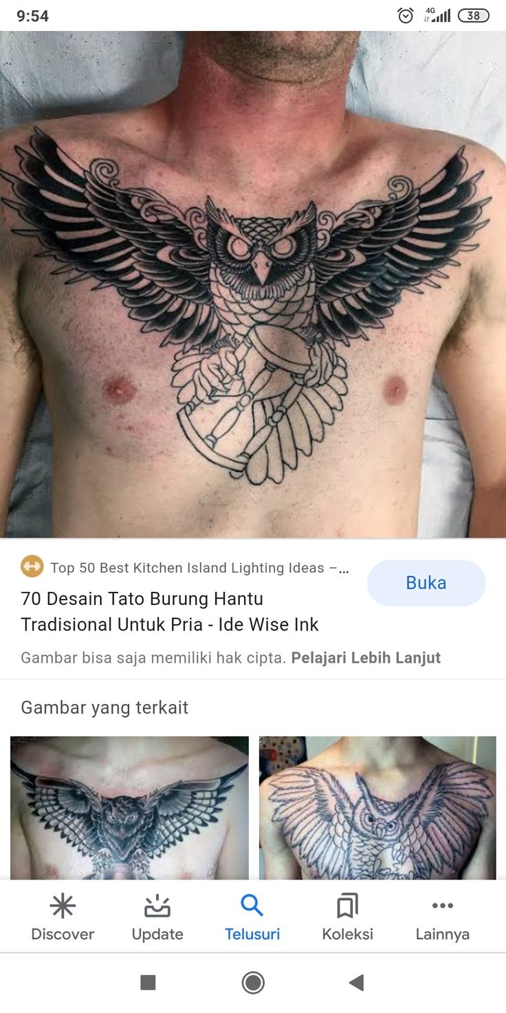 Detail Desain Tato Burung Hantu Nomer 54