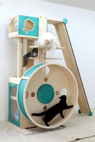 Detail Desain Tempat Bermain Kucing Nomer 16