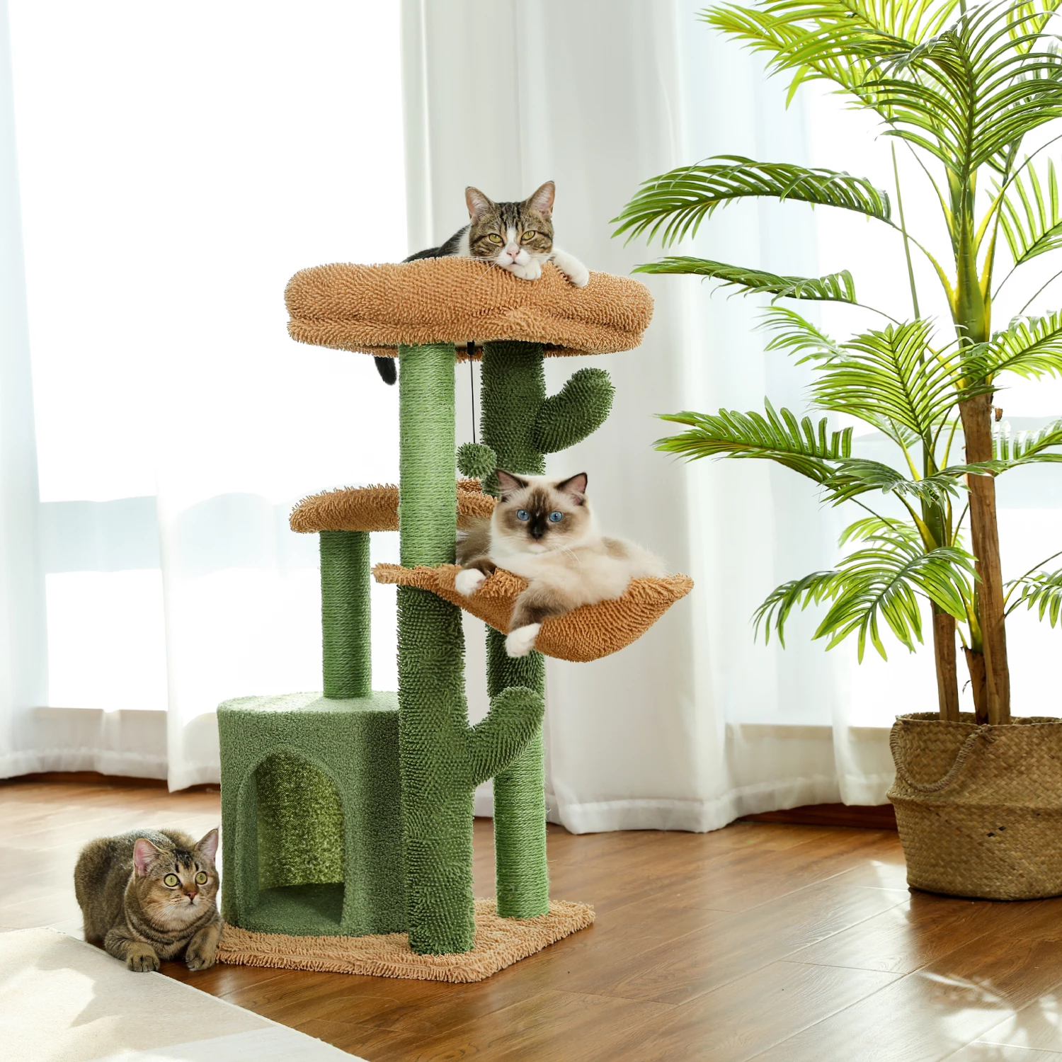 Detail Desain Tempat Bermain Kucing Nomer 50