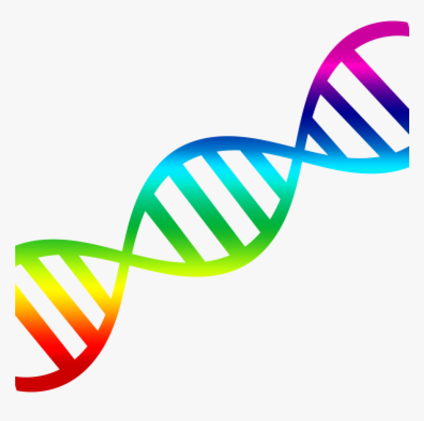 Detail Dna Clipart Transparent Nomer 3