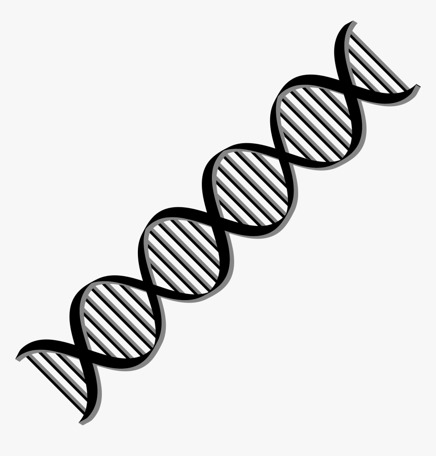 Detail Dna Clipart Transparent Nomer 5