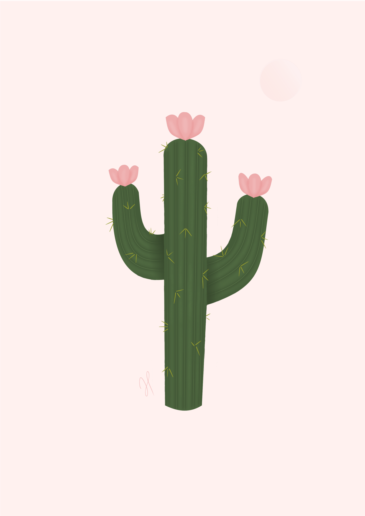 Kaktus Hintergrundbilder - KibrisPDR